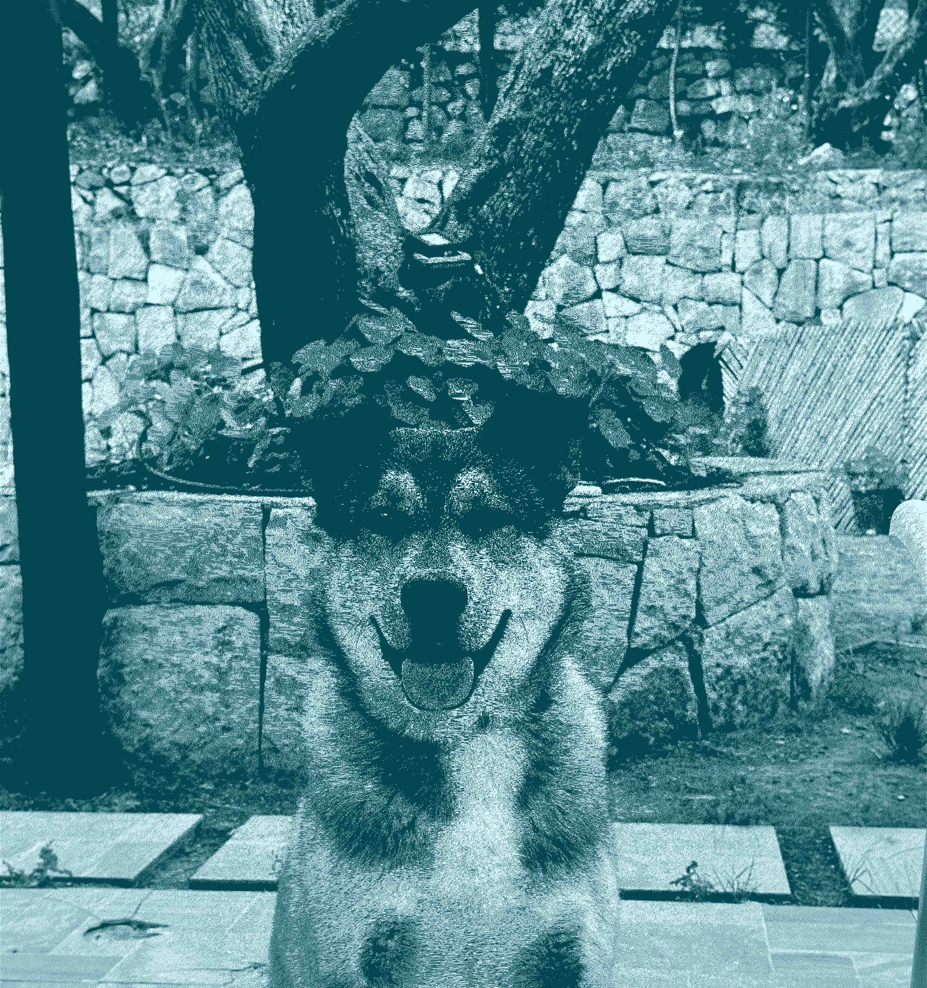 Yuki